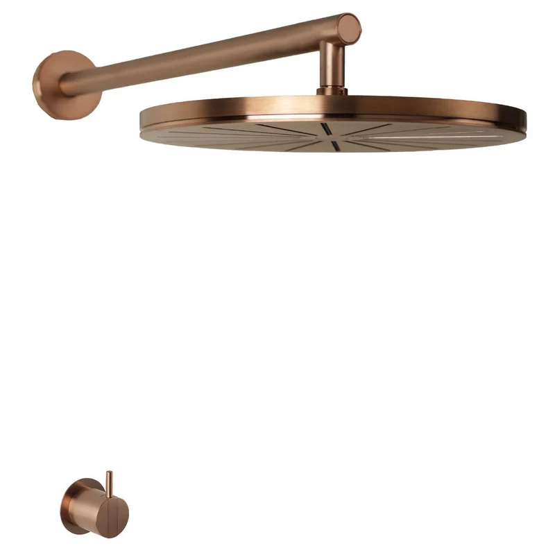 Vola Regendusche mit Einhebelmischer 2261