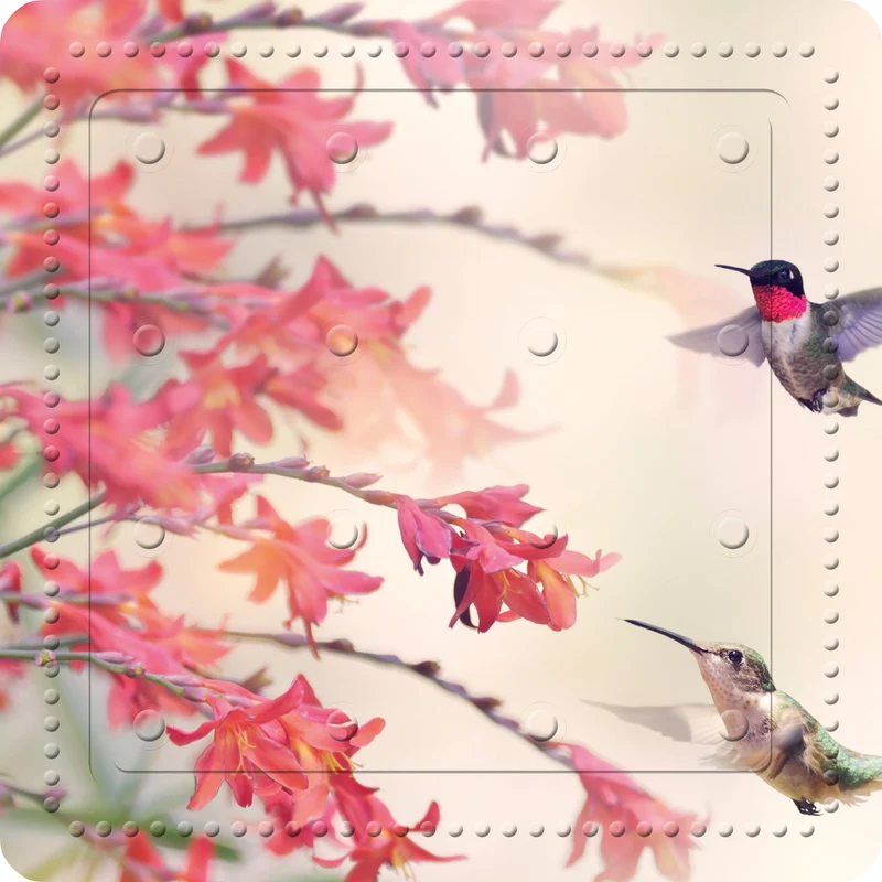 Duscheinlage KOLIBRI Multicolor 55 x 55 cm