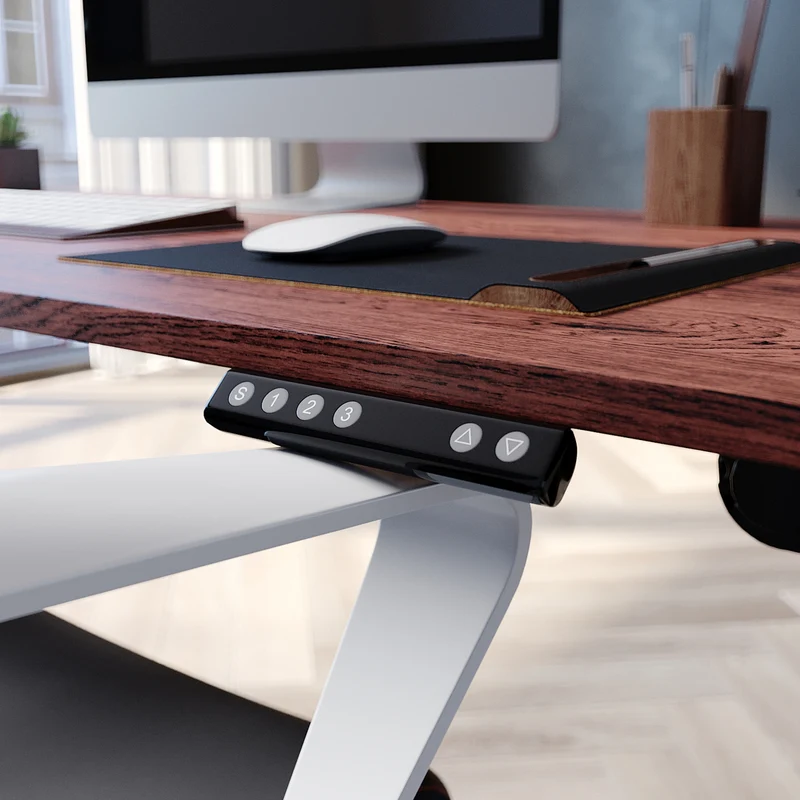 SONNI Höhenverstellbarer Schreibtisch Elektrisch 120 x 60 cm Leiser Betrieb mit Speicher-Steuerung und Kollisionschutz Funktion