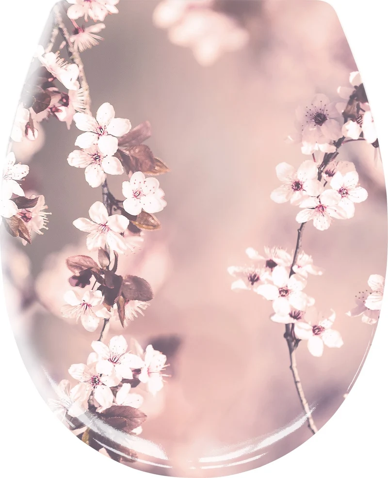 WC-Sitz BLOSSOM Nelke mit Absenkautomatik und Easy Clean