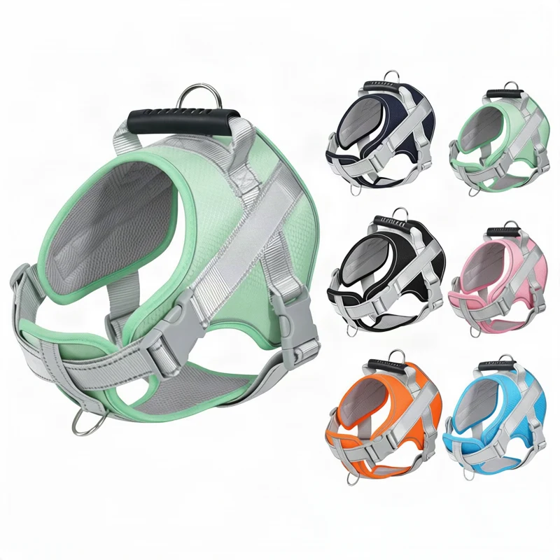 Dog harness made of polyester with leash, multiple sizes