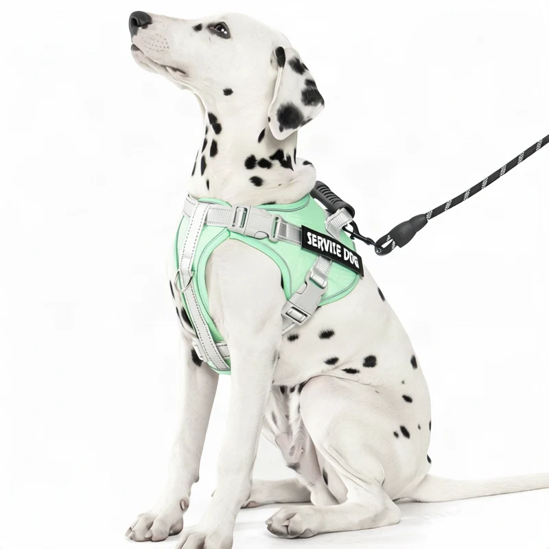 Dog harness made of polyester with leash, multiple sizes