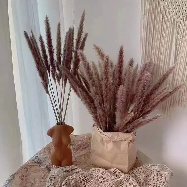 Bleached pampas grass, 145 cm, 10 pieces