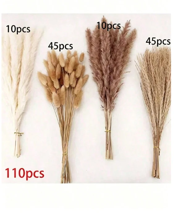Bleached pampas grass, 145 cm, 10 pieces