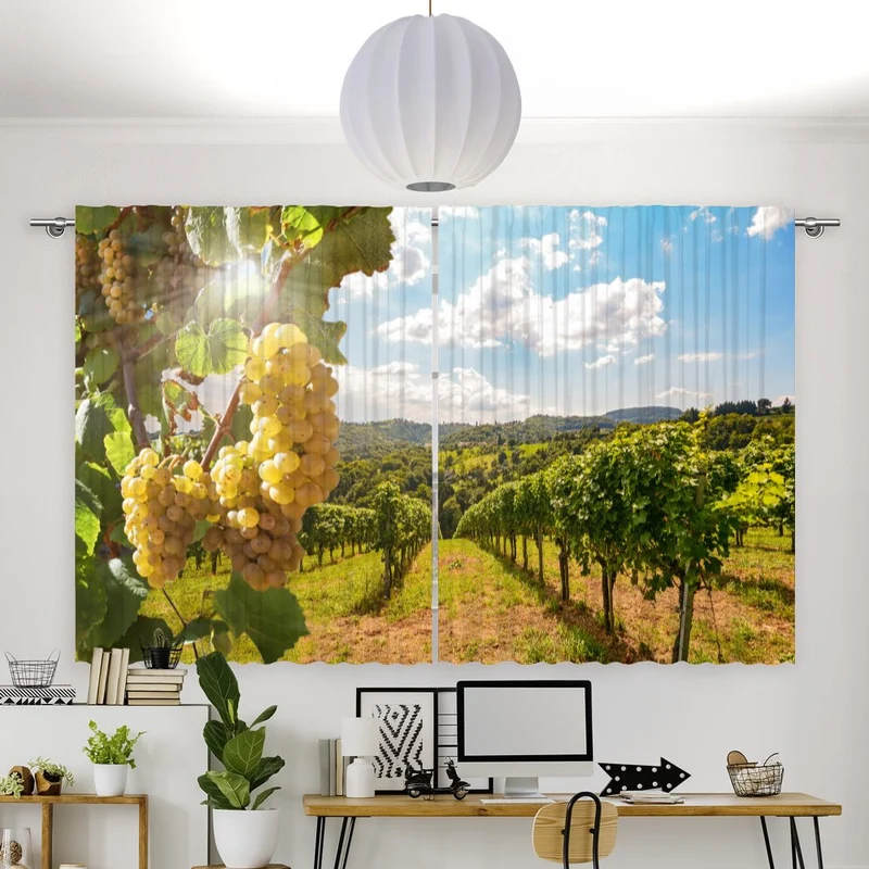 Vorhang Motiv "Weinberg Weinreben"