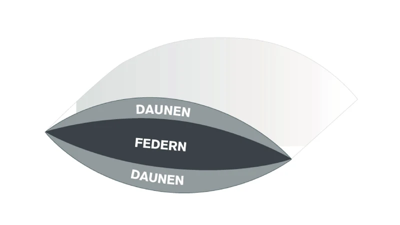 3 Kammer Kopfkissen Kissen Collection Bayern DeLuxe von BBV Bielefelder Bettfedern-Manufaktur