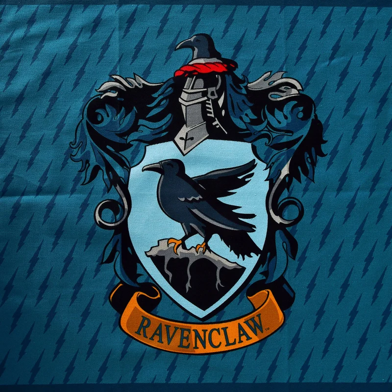 Harry Potter - Ravenclaw & Hogwarts Geschirrtücher Set