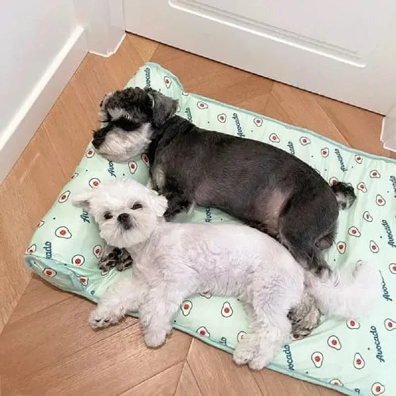Ice Silk Cooling Mat for Dogs & Cats🐶 | Luvikno