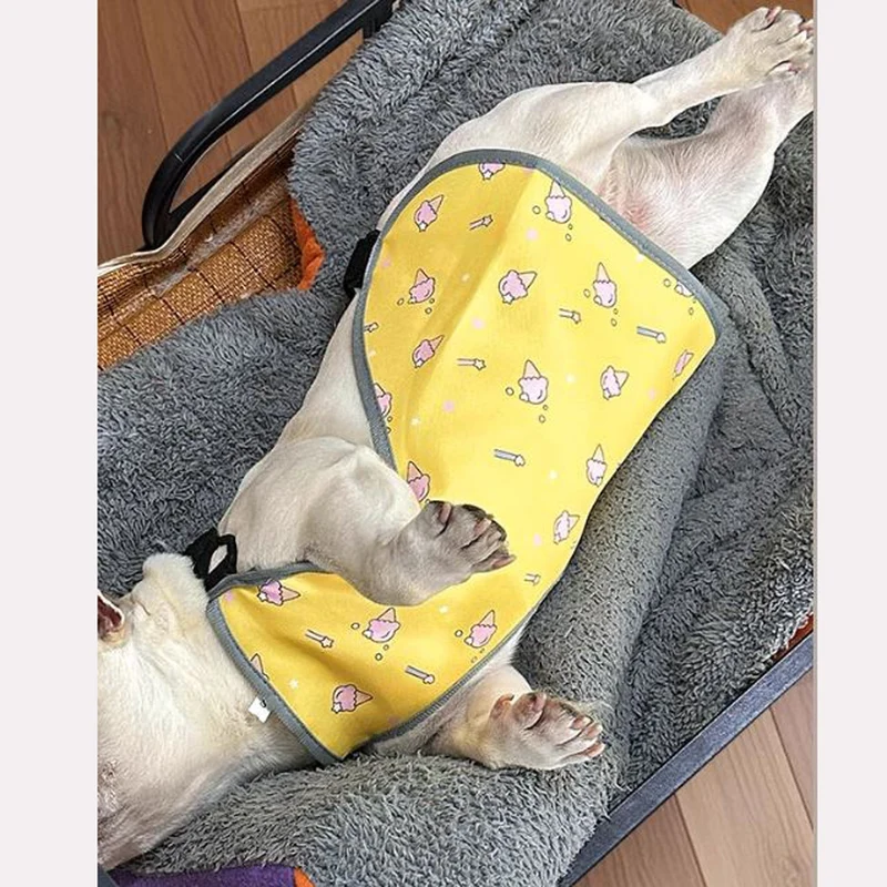 CooLie Frenchie Kjølevest – Sommer Magebeskyttelse Komfort | Luvikno