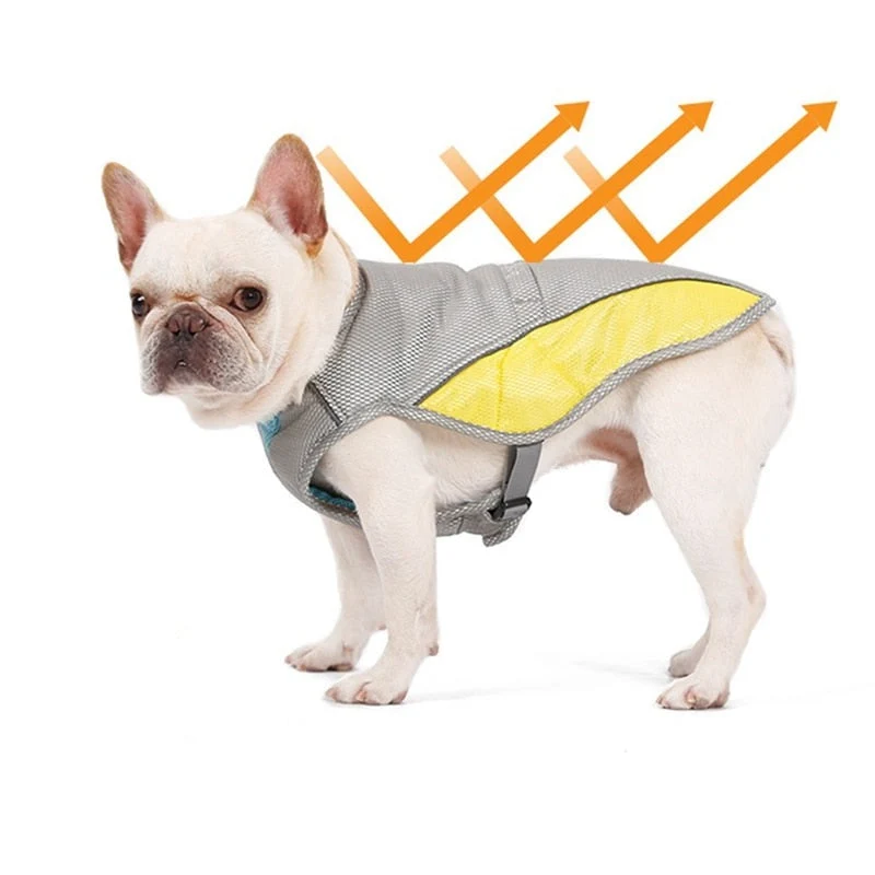 Coolify™ : Kjølevest for Fransk Bulldog (CS13) | Luvikno