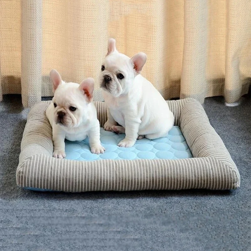 FurChill Frenchie Pustende Hundeseng – Kjølematte med Antiskli Bunn for Varme Dager | Luvikno