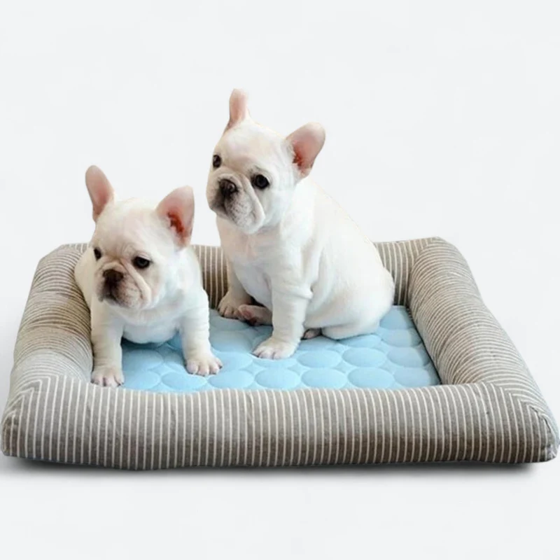 FurChill Frenchie Pustende Hundeseng – Kjølematte med Antiskli Bunn for Varme Dager | Luvikno
