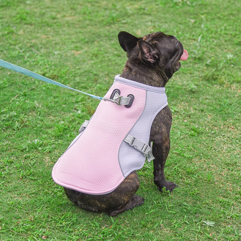 Fransk Bulldog Sommer Kjølevest Varmeresistent Pustende Solbeskyttelse | Luvikno
