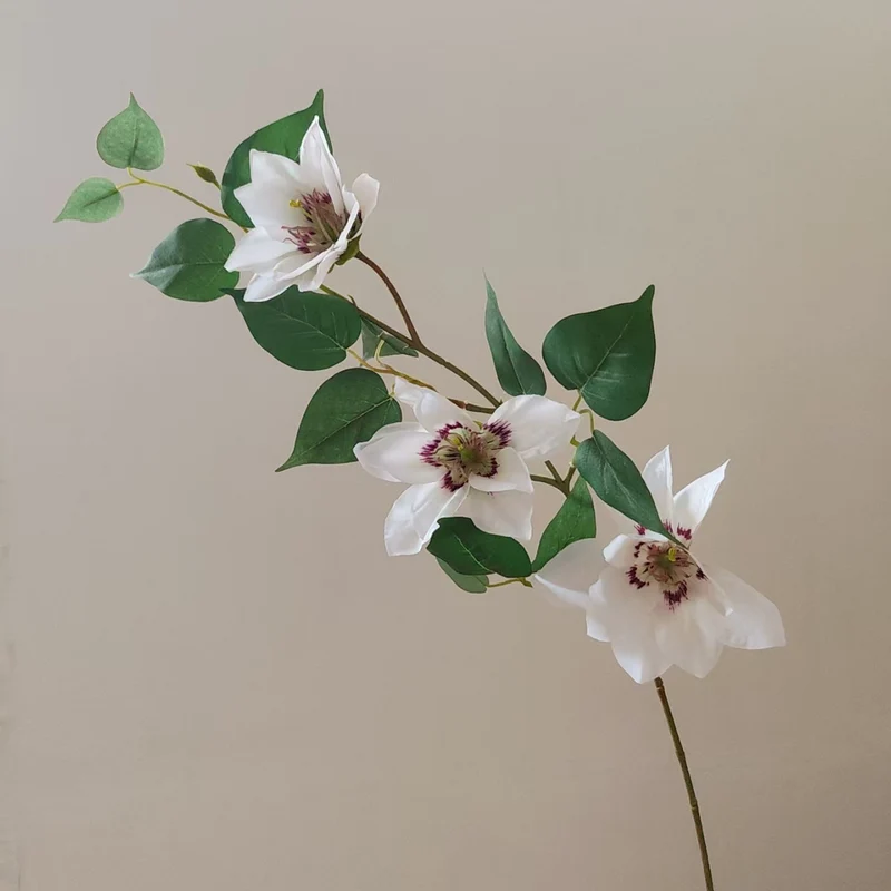 Realistic Magnolia Branch