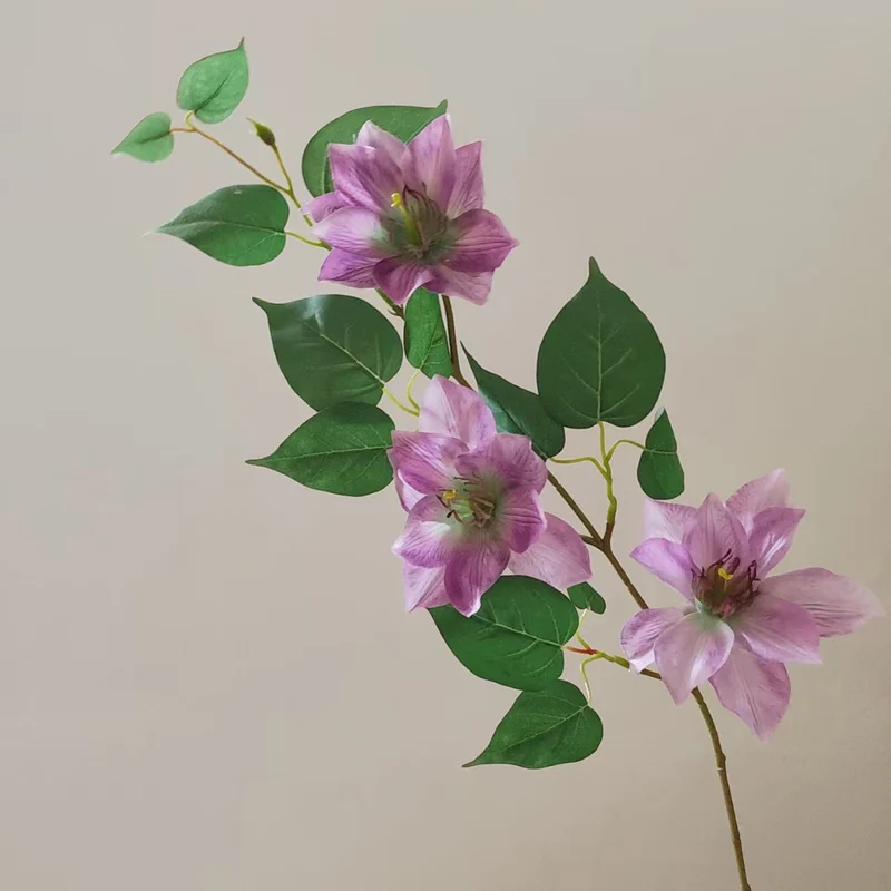 Realistic Magnolia Branch