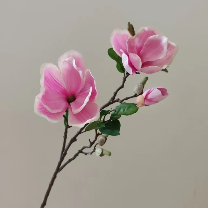 Realistic Magnolia Blossom Stem
