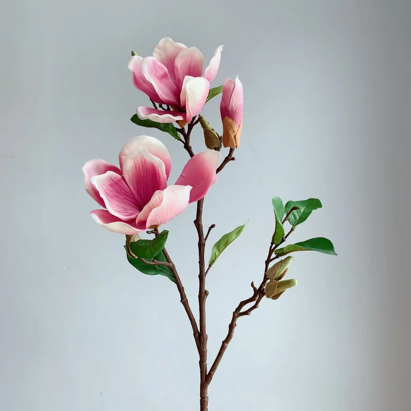 Realistic Magnolia Blossom Stem