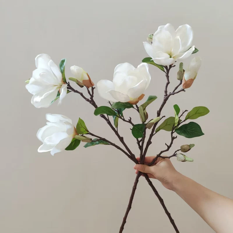 Realistic Magnolia Blossom Stem
