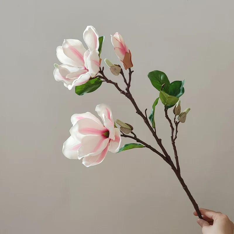 Realistic Magnolia Blossom Stem