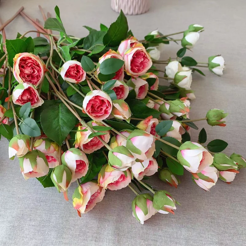Realistic Garden Rose Stem