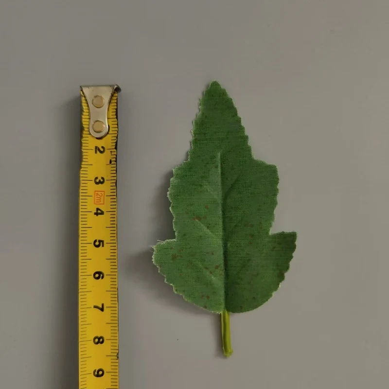 Realistic Decorative Leaf Stem