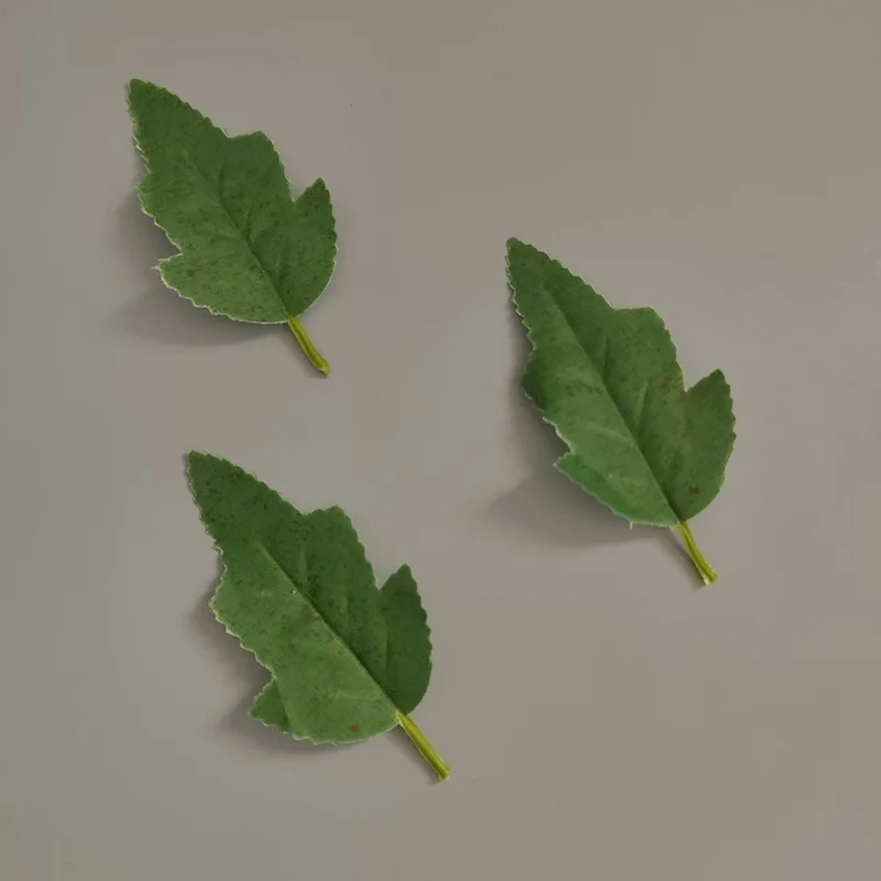 Realistic Decorative Leaf Stem