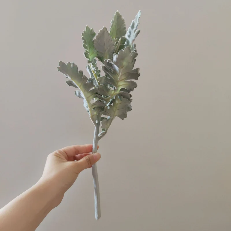 Realistic Decorative Cactus Stem