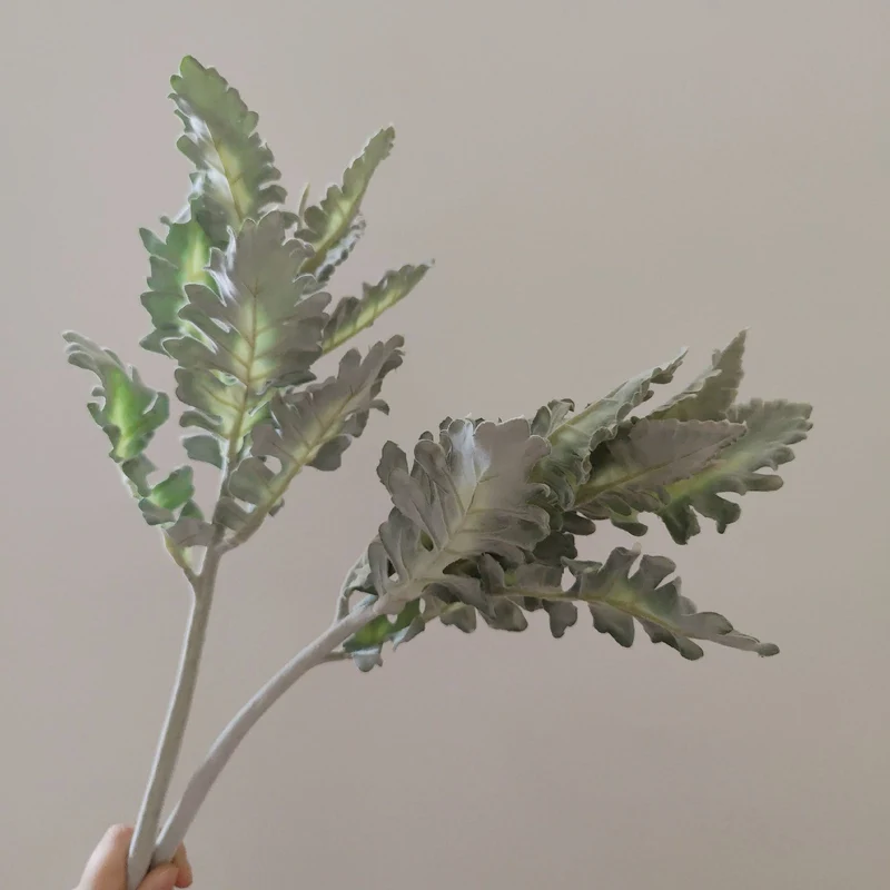 Realistic Decorative Cactus Stem