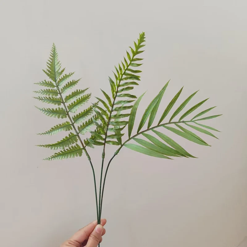 Tropical Palm Leaf Stem