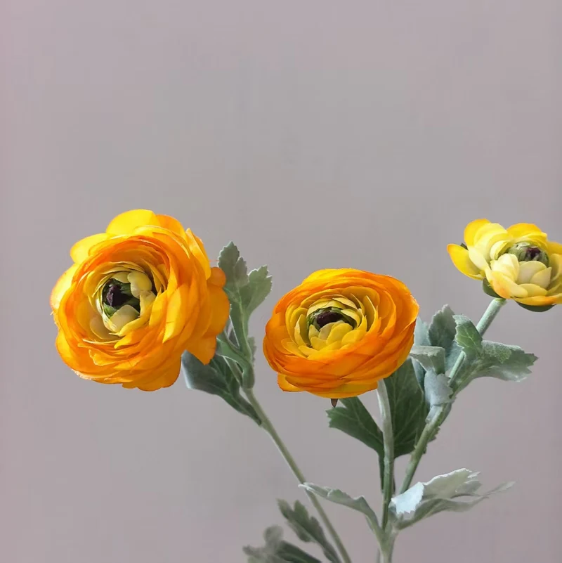 Realistic Ranunculus Floral Stem