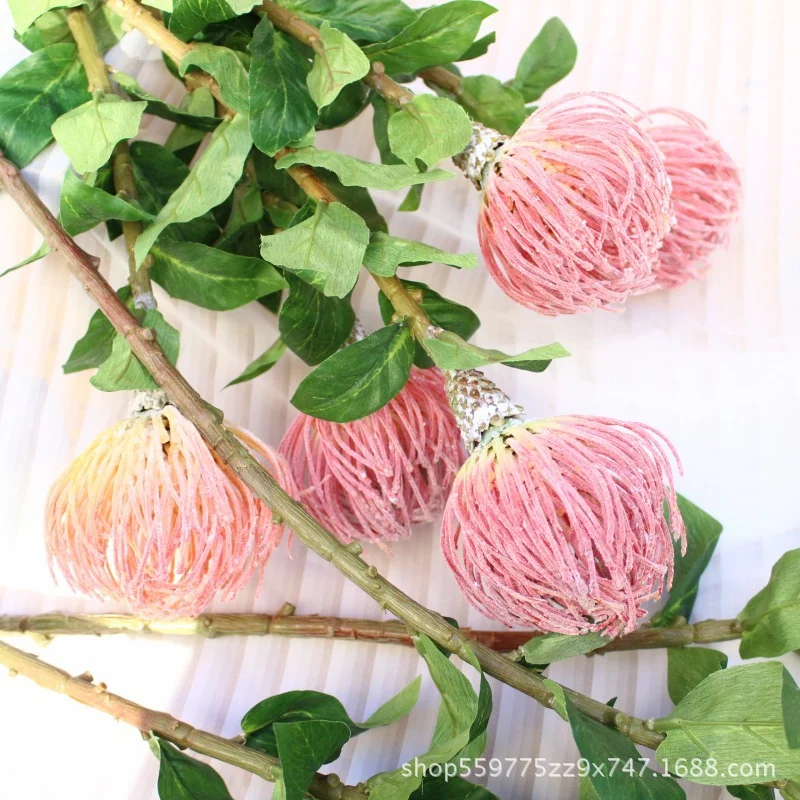 Realistic Protea Flower Stem