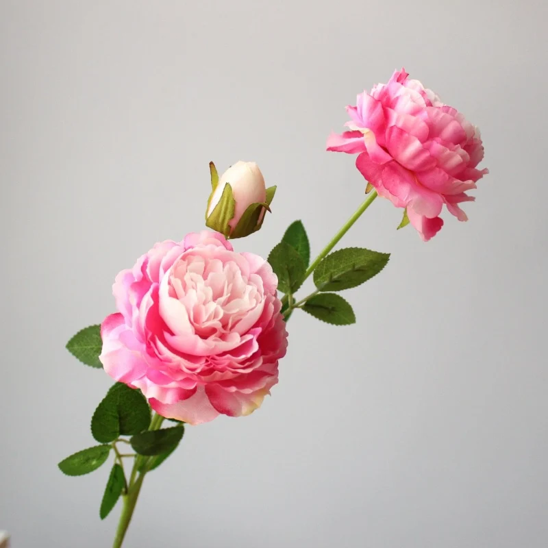 Realistic Peony Floral Stem