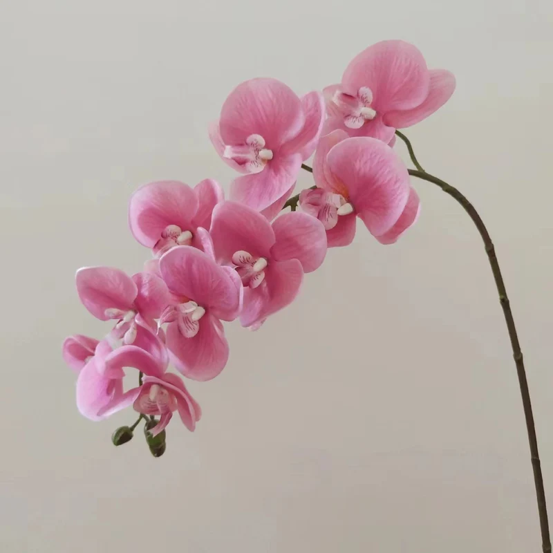 Realistic Orchid Floral Arrangement