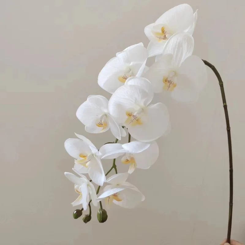 Realistic Orchid Floral Arrangement