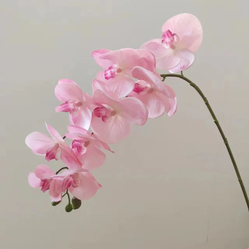 Realistic Orchid Floral Arrangement