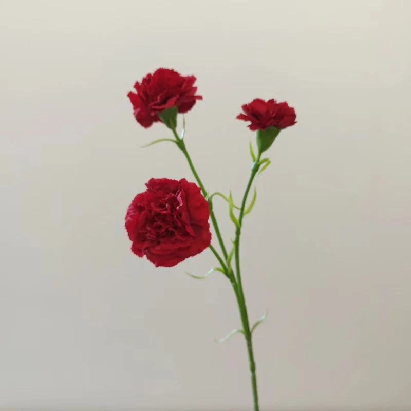 Lifelike Carnation Floral Stem