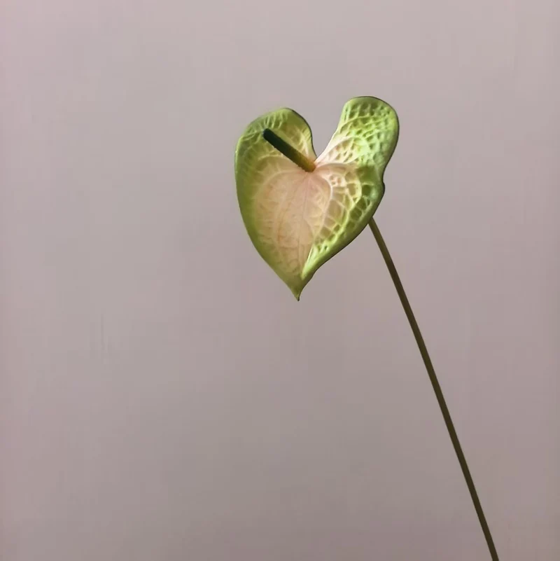 Heart-Shaped Leaf Floral Stand