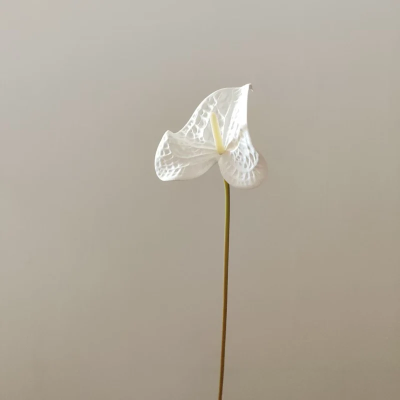 Heart-Shaped Leaf Floral Stand