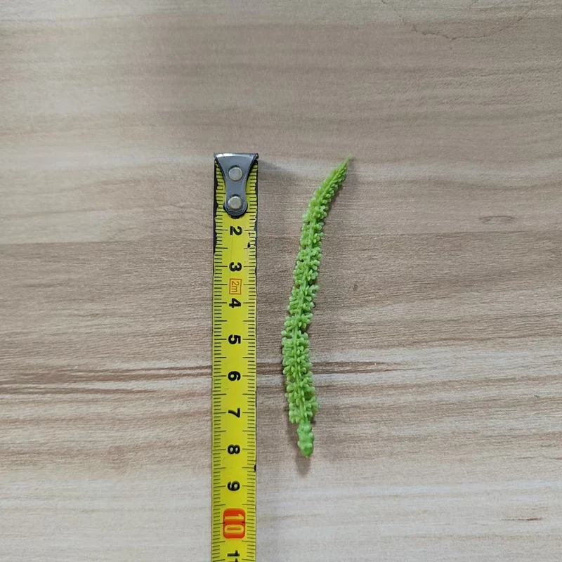 Gardening Tool