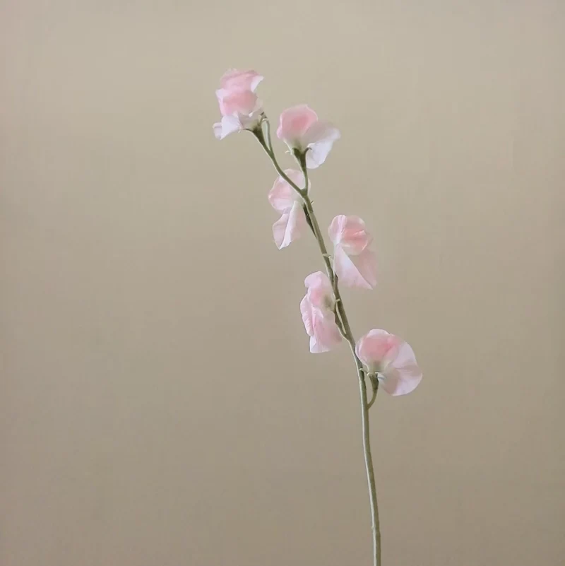 Elegant Silk Sweet Pea Stem