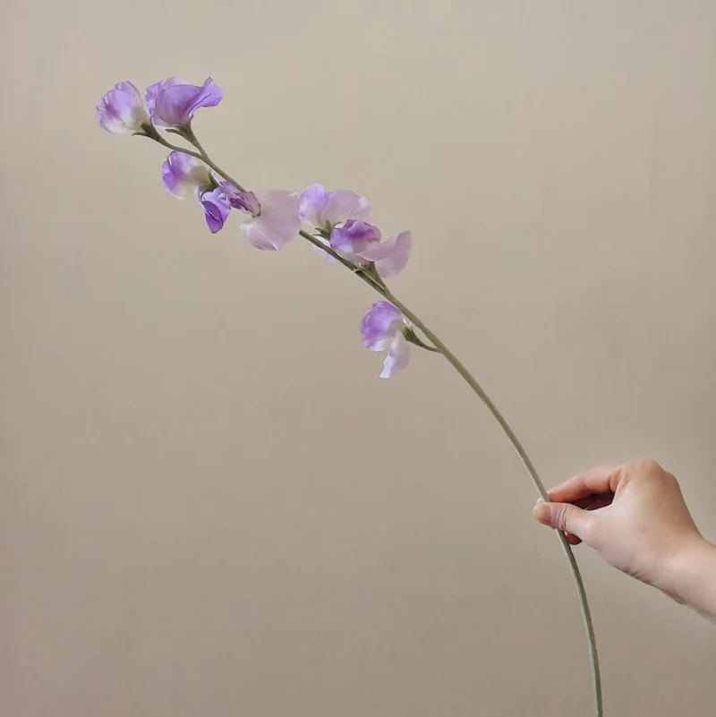 Elegant Silk Sweet Pea Stem