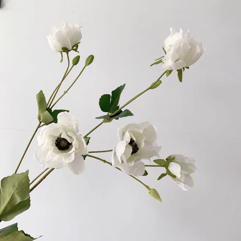 Elegant Peony Stem