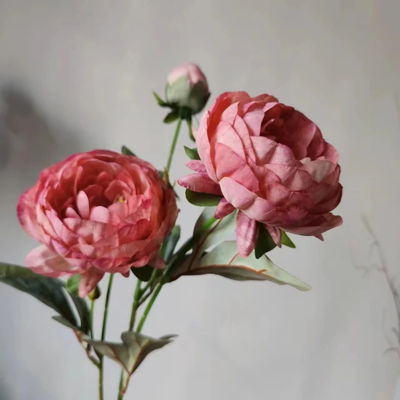 Elegant Peony Flower Stem