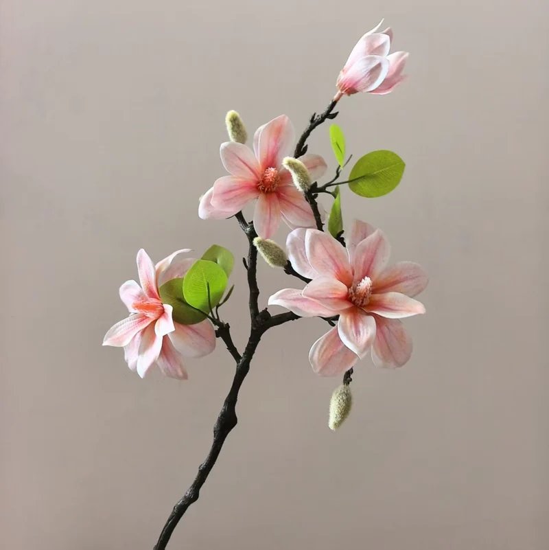 Elegant Magnolia Stem