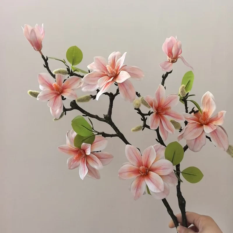 Elegant Magnolia Stem