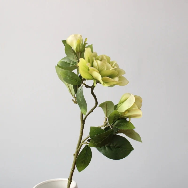 Elegant Decorative Magnolia Stem