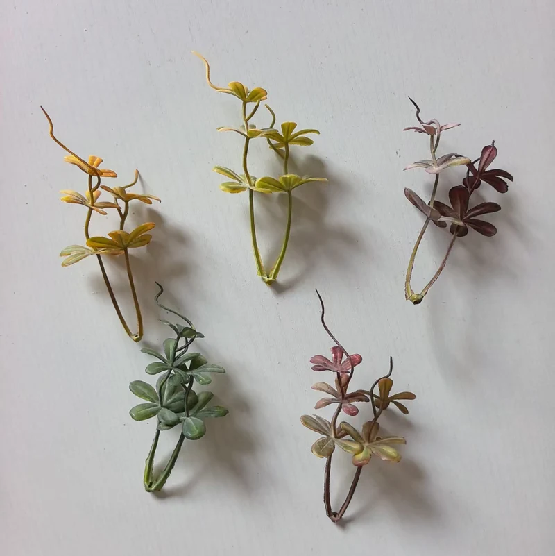 Decorative Succulent Arrangement