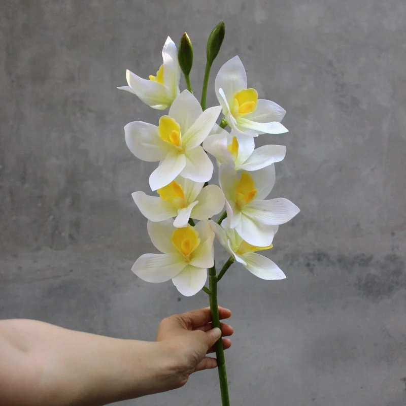 Decorative Orchid