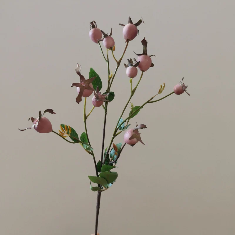 Decorative Natural Dried Floral Stem