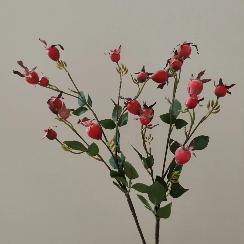 Decorative Natural Dried Floral Stem